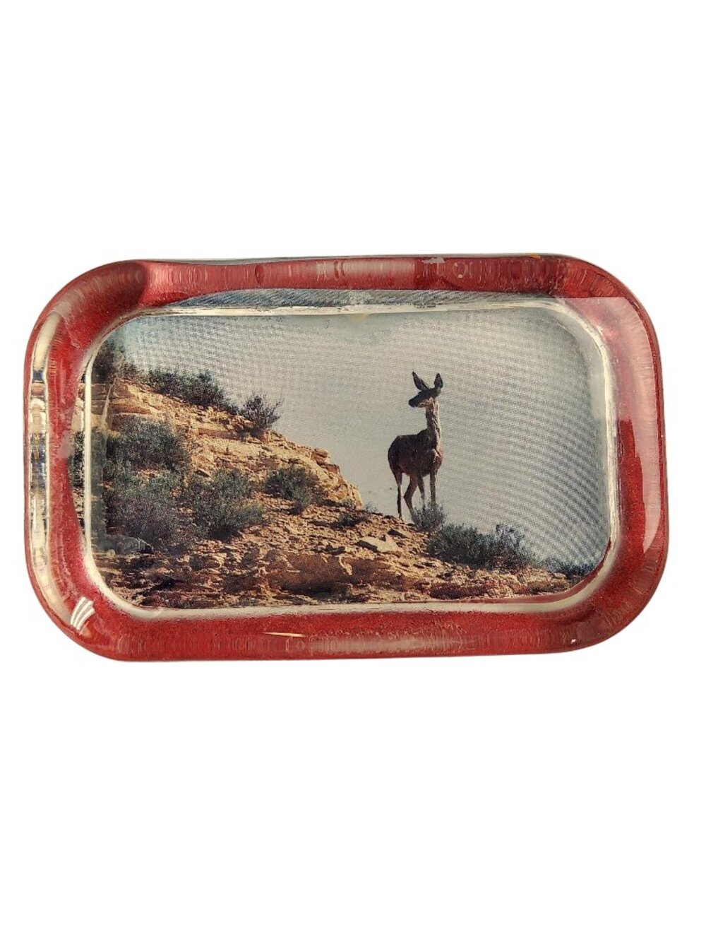 Antelope Paperweight Vintage Wildlife Deer Man Cave Office Den Home Decor